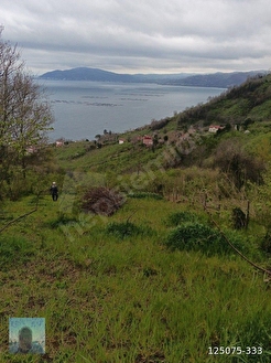 perşembe kaleyka mah 12 daire lik arazi satılık. - ORDU PERŞEMBE fotoğraf 4