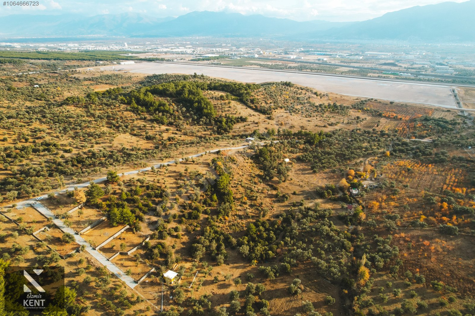 Kemalpaşa Yenmiş Satılık Bahçe 610 m2 - İZMİR KEMALPAŞA fotoğraf 3
