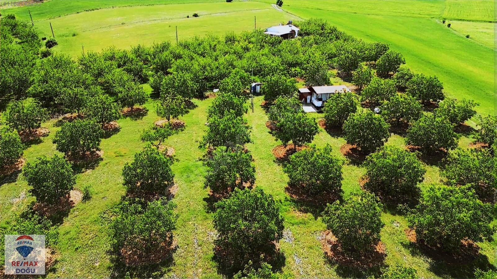 REMAX DOĞUDAN EKRÜZDE SATILIK CEVİZ BAHÇESİ - ELAZIĞ MERKEZ fotoğraf 5