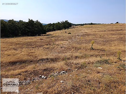 ASFALT KENRARI, DOĞA İÇERİSİNDE,4.200 M2 SATILIK ARAZİ - BİLECİK SÖĞÜT fotoğraf 6