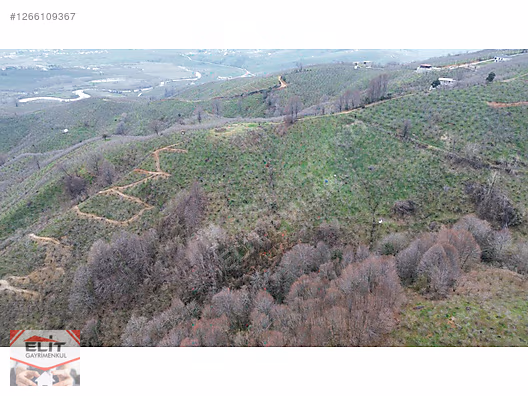 DÜZCE AKÇAKOCA DA EV YAPIMINA UYGUN SATILIK 7.768 M2 FINDIKLIK - DÜZCE AKÇAKOCA fotoğraf 24