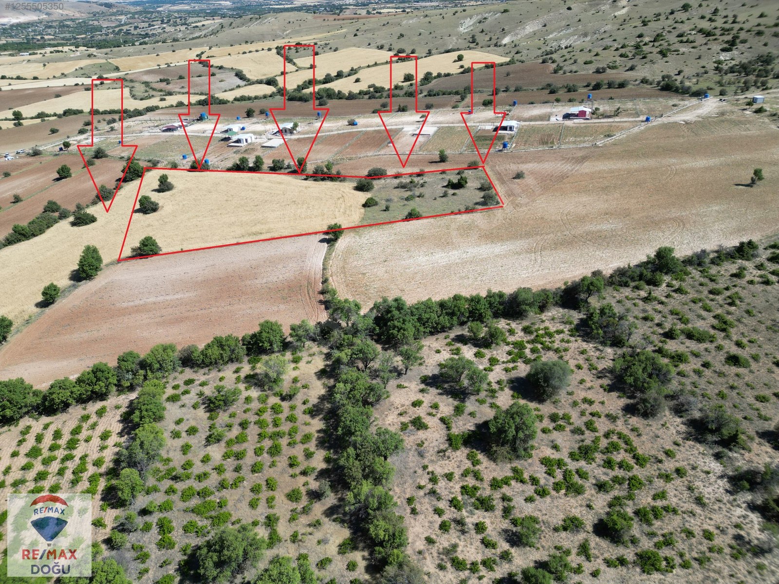 REMAX DOĞUDAN YAZIPINARINDA SATILIK TARLA - ELAZIĞ MERKEZ fotoğraf 2