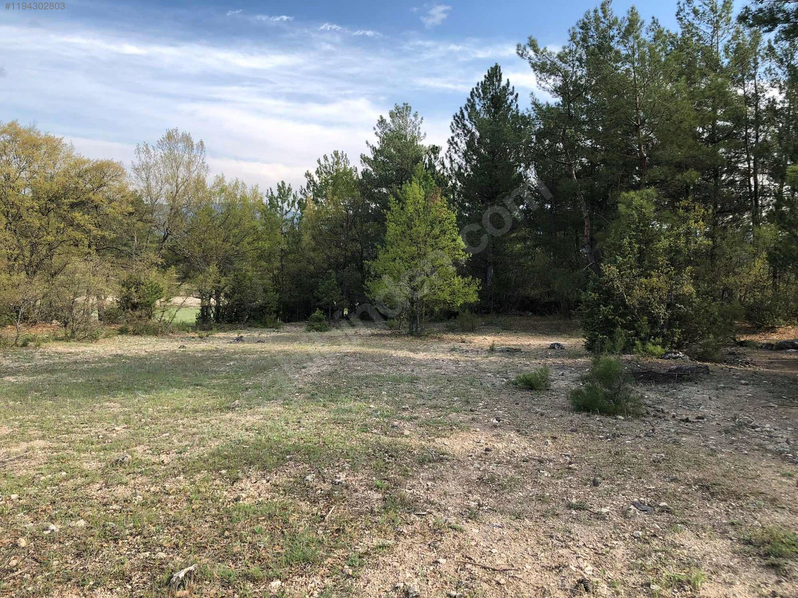 BURSA KELEŞ MENTEŞE 4.493 M² TARLA SATILIKTIR. - BURSA KELES fotoğraf 8