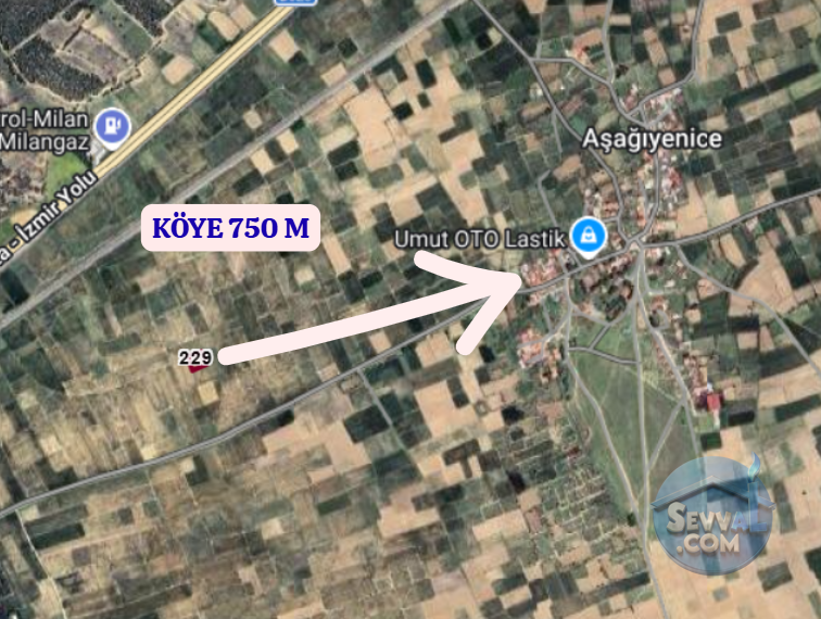 AFYONKARAHİSAR DAZKIRI AŞAĞIYENİCE  KÖYÜNDE 1.287 M²  TARLA  SATILIKTIR - AFYONKARAHİSAR DAZKIRI fotoğraf 4