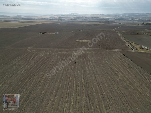 UĞURLU EMLAK OFİSİNDEN GEDİKLİ MAHALLESİNDE SATILIK ARSA - ANKARA POLATLI fotoğraf 8