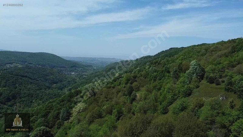 YALOVA SUGÖREN'DE DOĞAYLA İÇ İÇE SATILIK TARLA - YALOVA MERKEZ fotoğraf 6