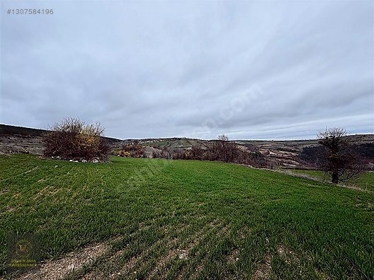 SAMSUN VEZİRKÖPRÜ ÇAMLIDERE'DE 6.670 M2 UYGUN ARSA - SAMSUN VEZİRKÖPRÜ fotoğraf 24