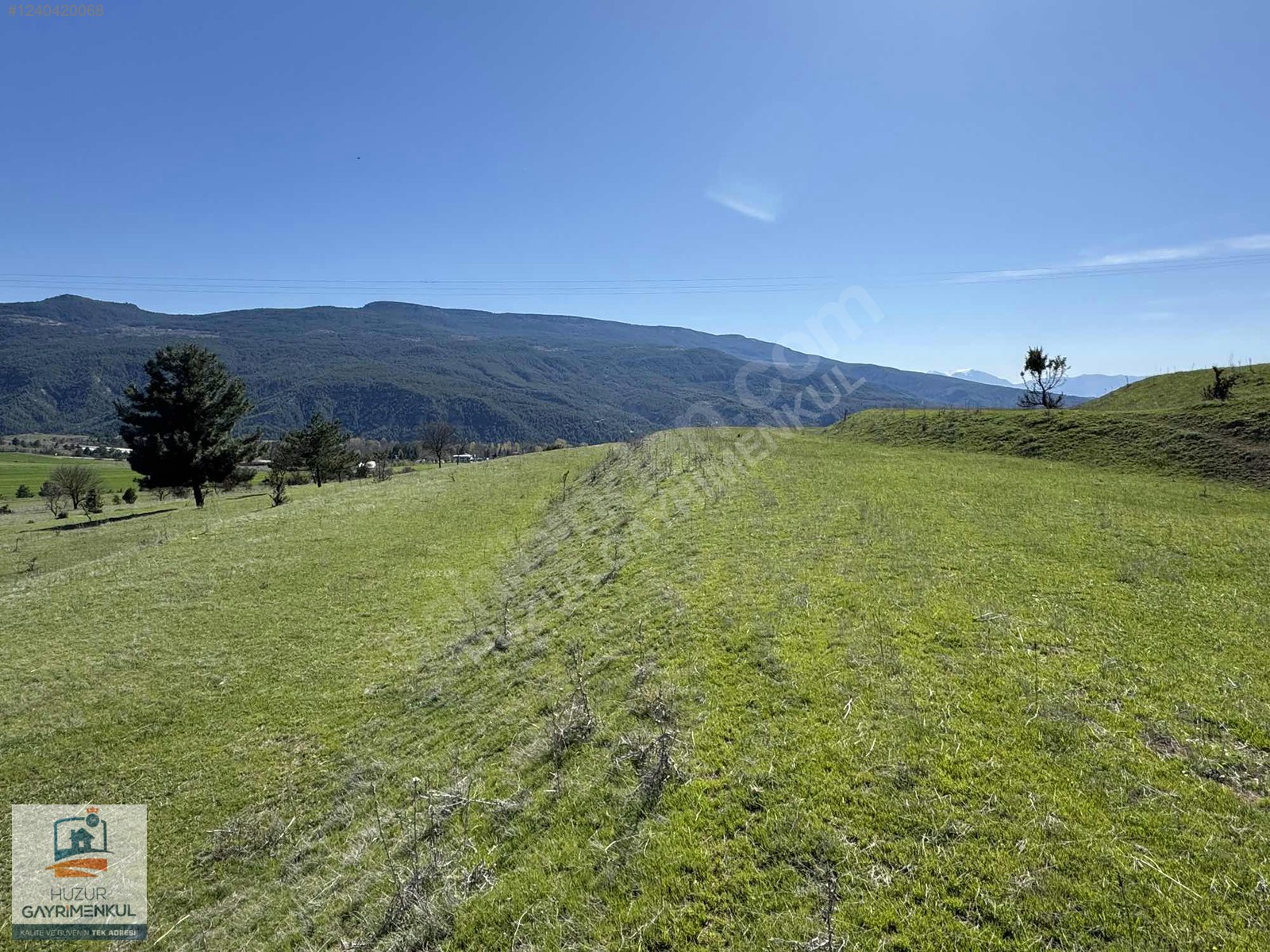 ACİL SATILIK SARANBOLU KONARI KÖYÜNDE YOLU MEVCUT 2.931 ARSA - KARABÜK SAFRANBOLU fotoğraf 13