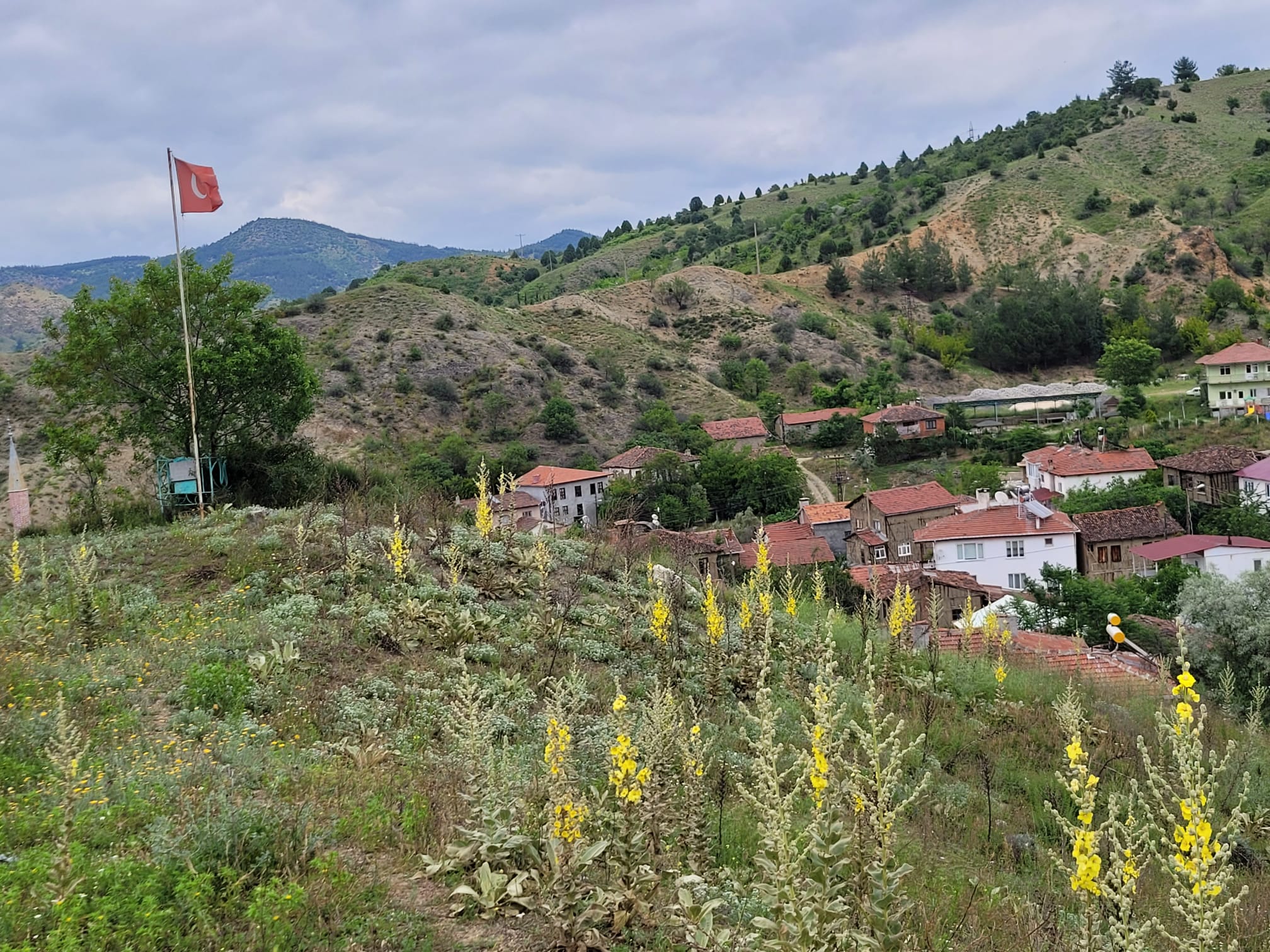 BEKDEMİR KÖYÜNDE MÜKEMMEL KONUMDA KÖY İMARLI ARSA - BİLECİK MERKEZ fotoğraf 2