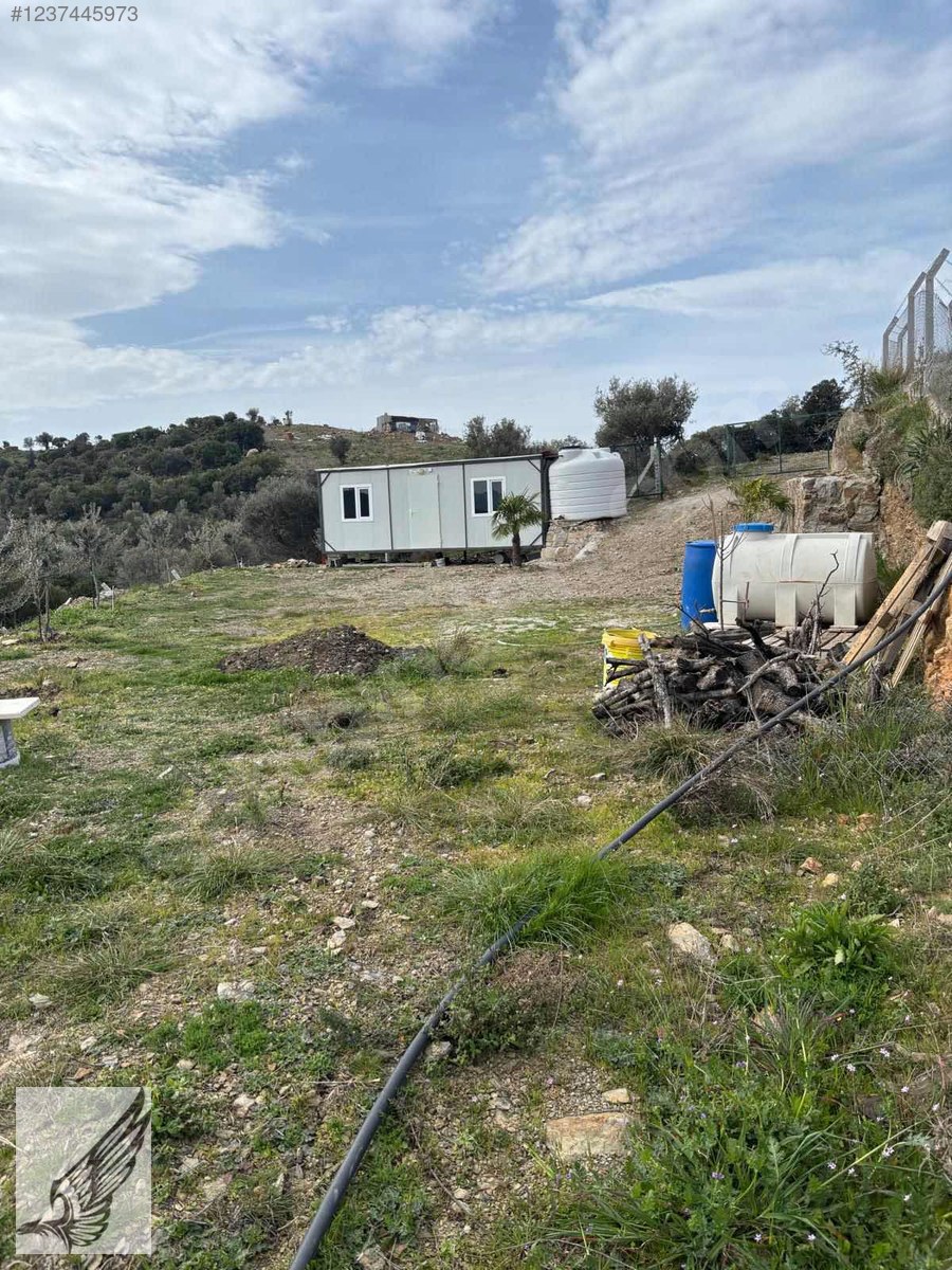 Seferihisar Ulamış Köyü Satılık 1.700M2 Zeytinlik Ve Konteyner - İZMİR SEFERİHİSAR fotoğraf 5