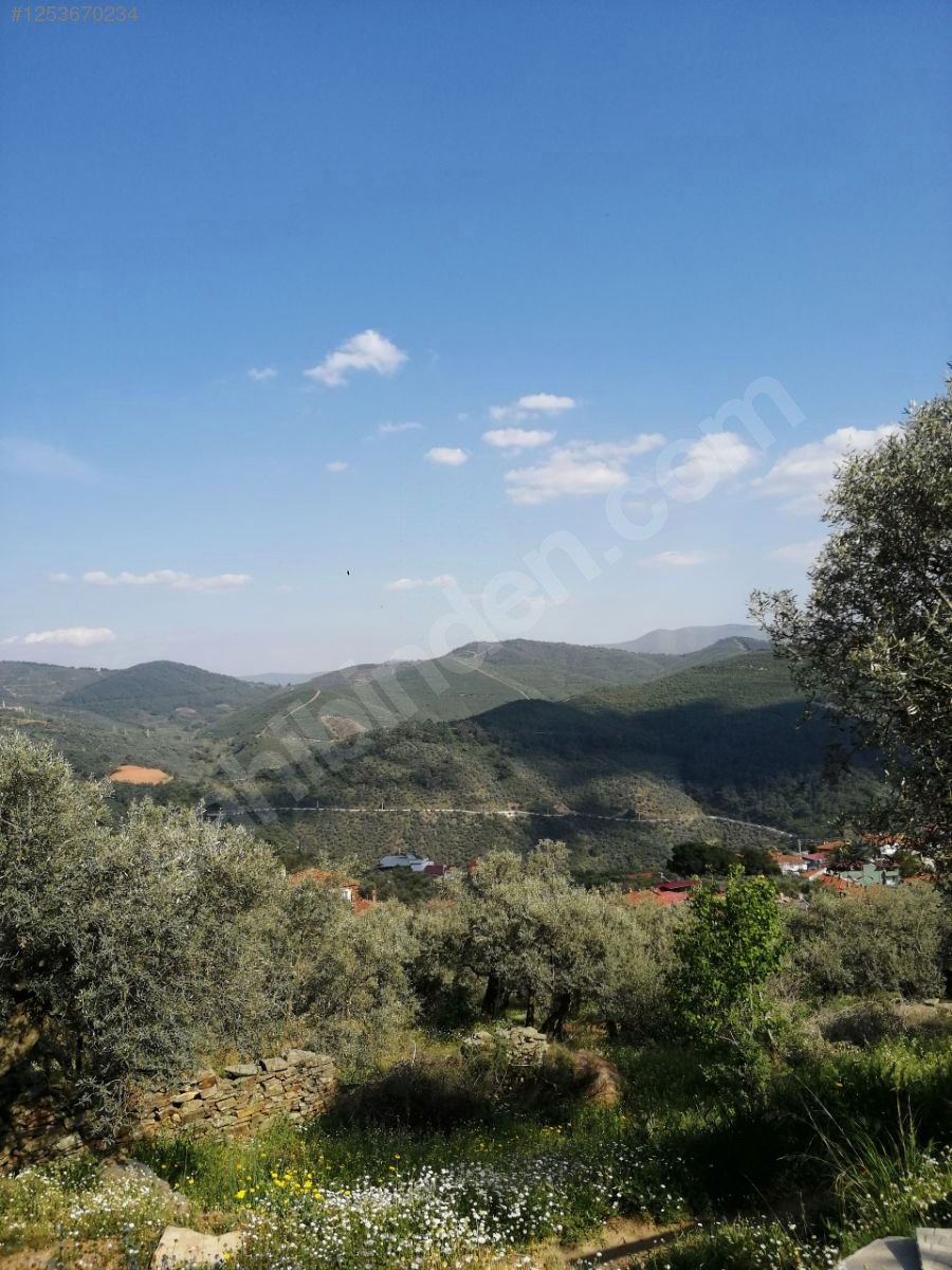 İZMİR BAYINDIR KIZILOVA  KÖYÜNDE 182  M² ZEYTİNLİK  SATILIKTIR - İZMİR BAYINDIR fotoğraf 15