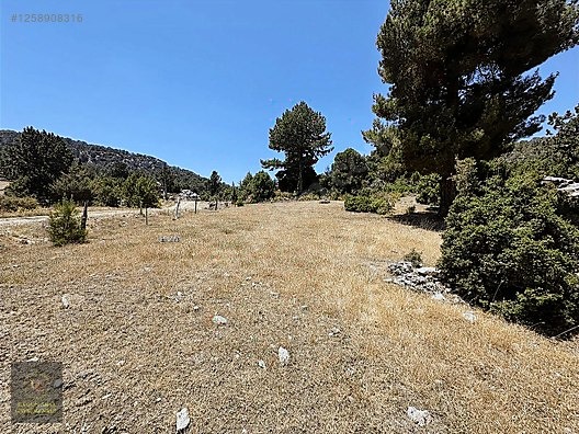 ANTALYA KAŞ YAYLAPALAMUT' DA 3.888 M2 UYGUN ARSA - ANTALYA KAŞ fotoğraf 7