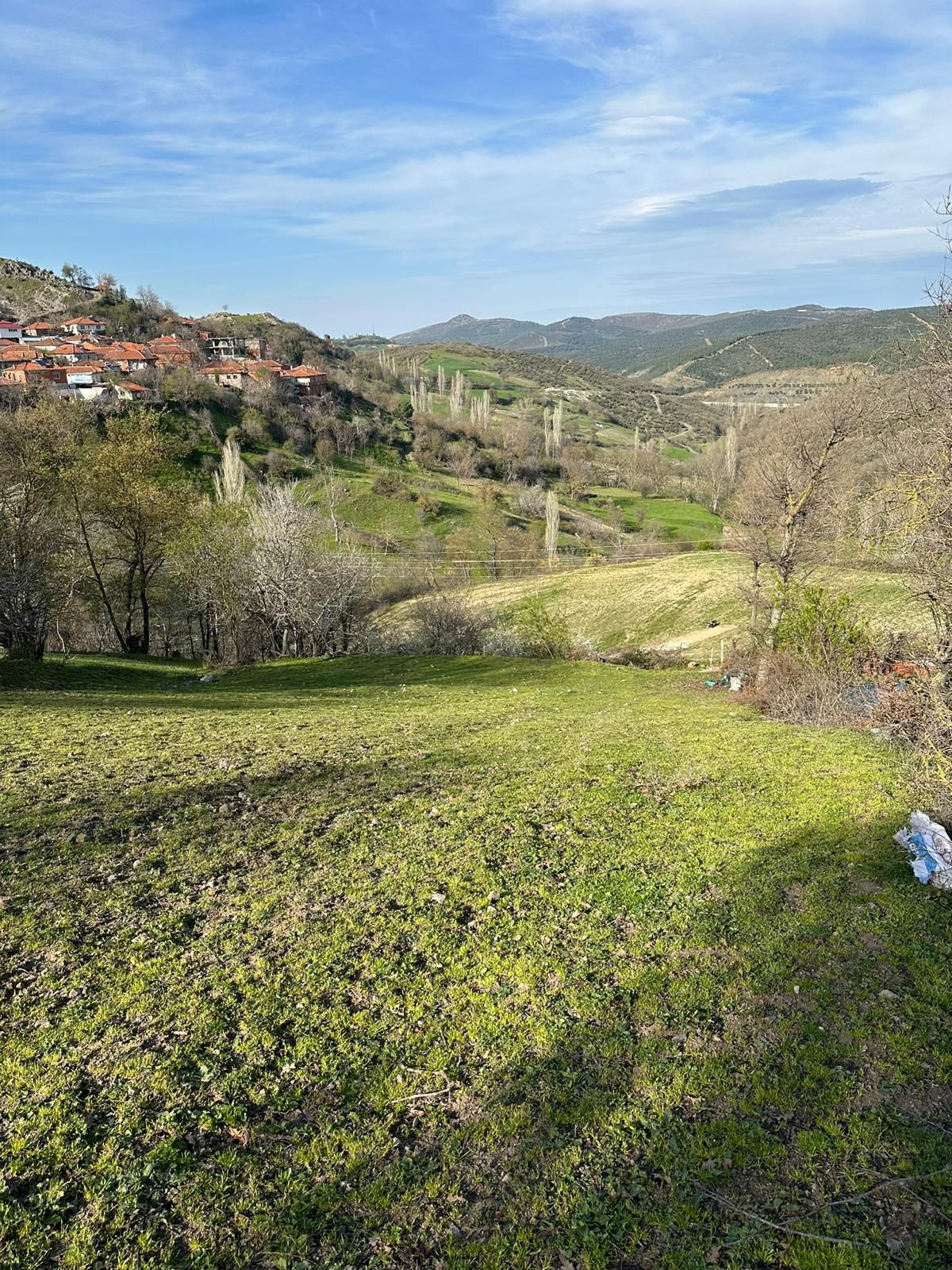 BALIKESİR ALTIEYLÜL DEDEBURNU   KÖYÜNDE 1.969  M²  TARLA  SATILIKTIR - BALIKESİR ALTIEYLÜL fotoğraf 15