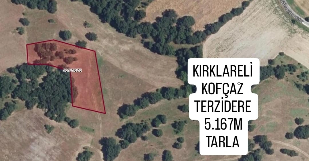 İlan Resmi