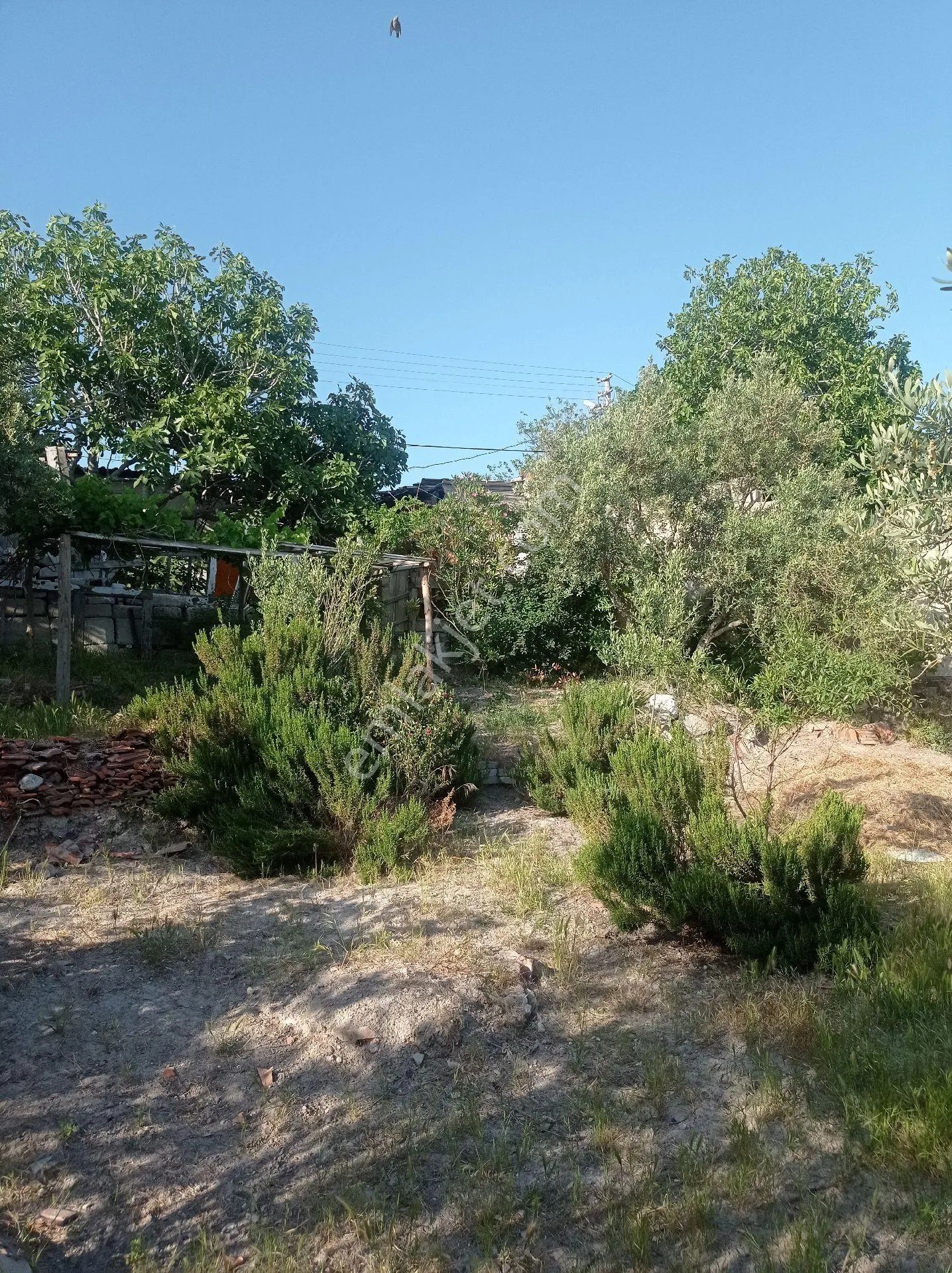 Yeliz'den Manisa Soma'da Satılık Müstakil Ev - MANİSA SOMA fotoğraf 10