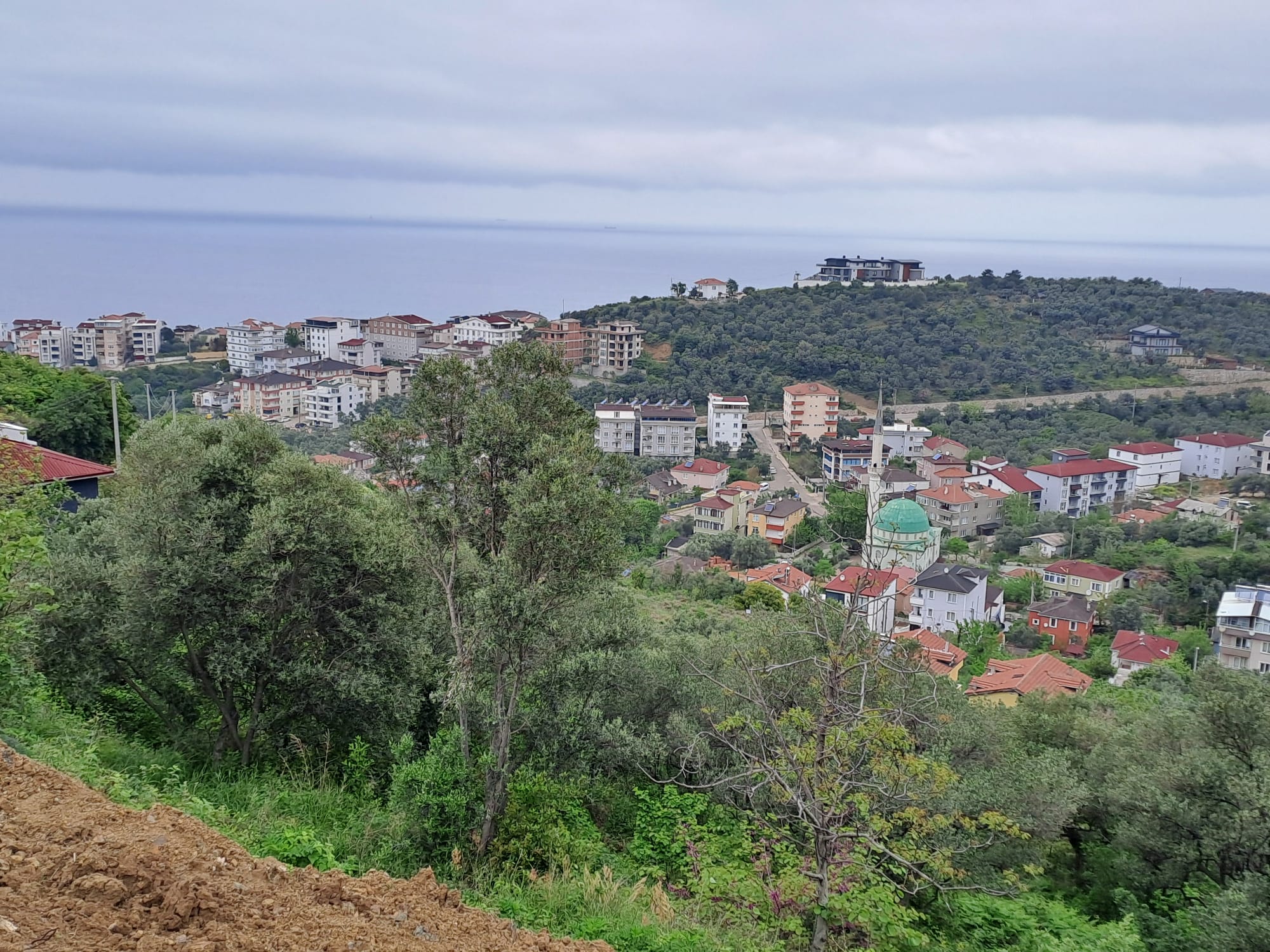 Esenköy denizve orman manzaralı - YALOVA ÇINARCIK fotoğraf 8