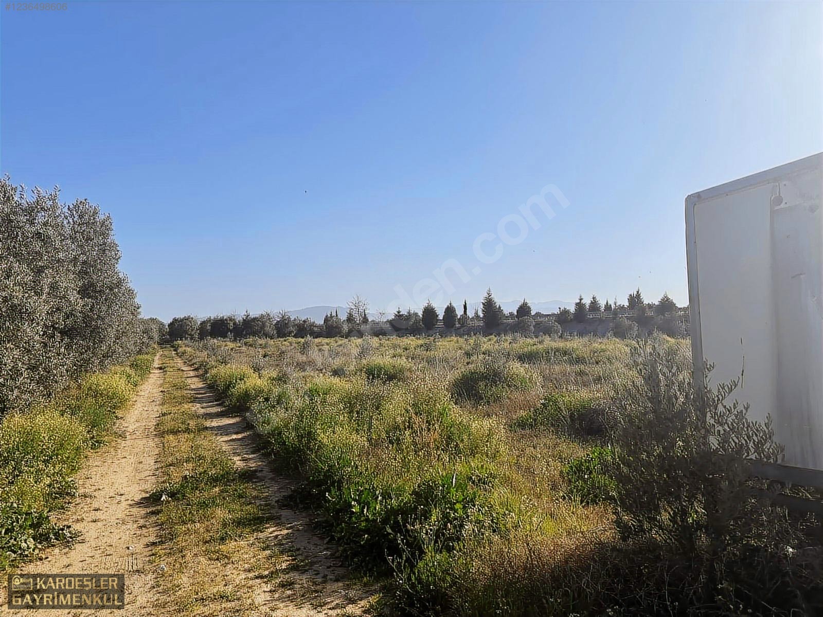 SATILIK GÖLMARMARA SALİHLİ YOLU ÜZERİNDE ASFALT ÜSTÜ ZEYTİNLİK - MANİSA AKHİSAR fotoğraf 12