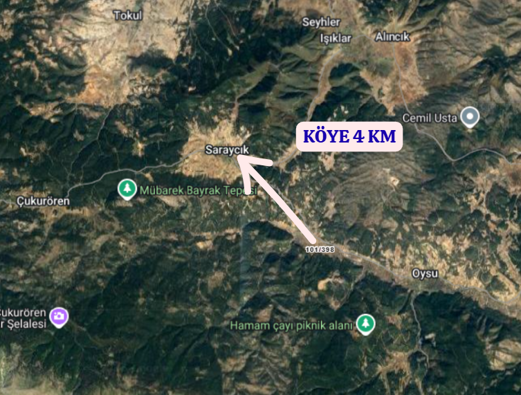 KÜTAHYA ALTINTAŞ SARAYCIK  KÖYÜNDE 1.769 M² TARLA SATILIKTIR - KÜTAHYA ALTINTAŞ fotoğraf 4