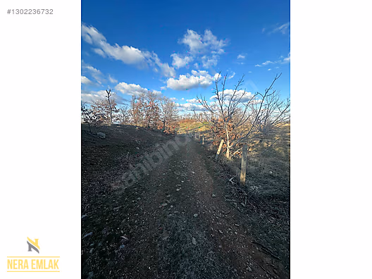 HORZUMKESERLER-İZMİR SARISU'YA YAKIN KADASTRO YOLLU 2.138m2 - MANİSA ALAŞEHİR fotoğraf 9