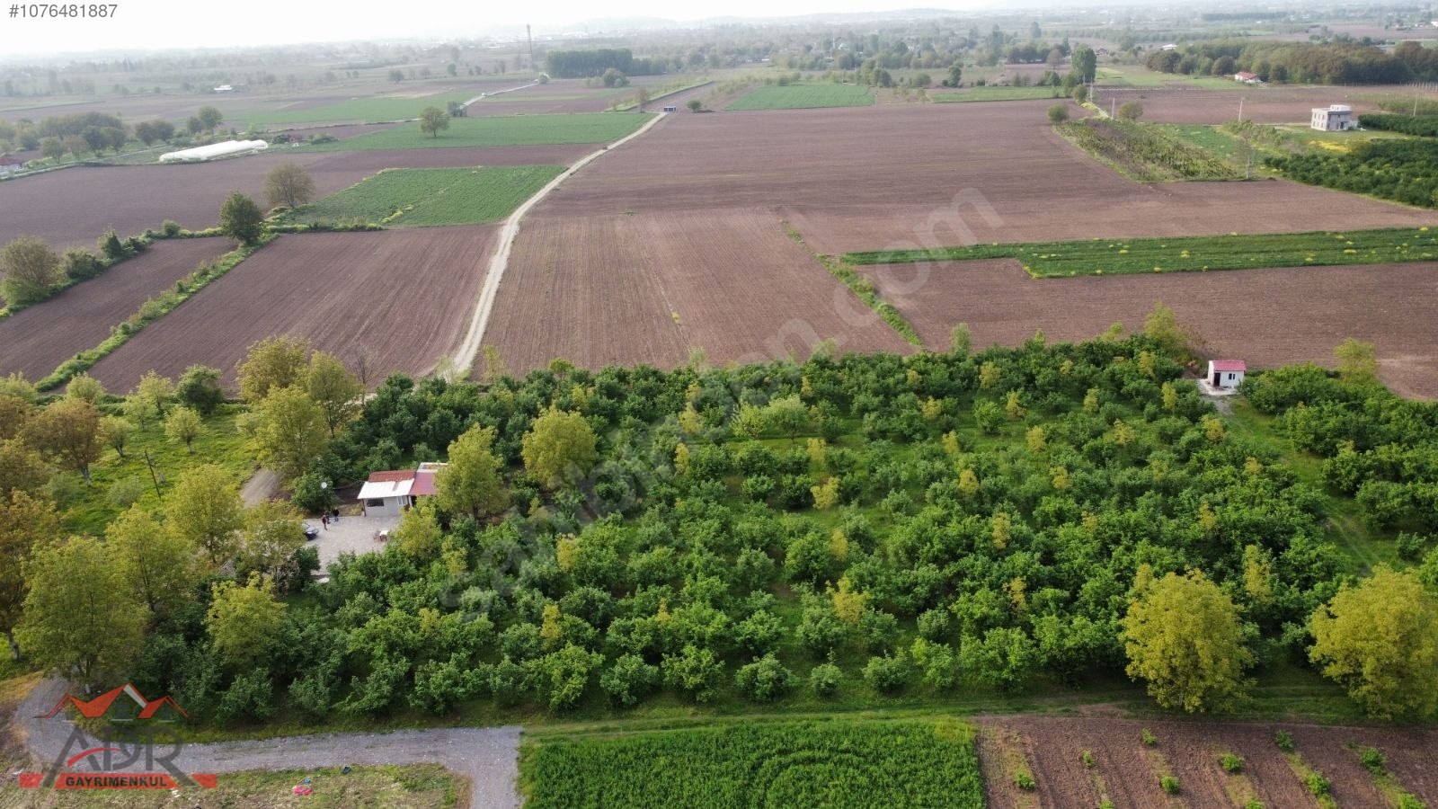 SAKARYA ARİFİYE KEMALİYE KÖYÜNDE 10866M2SATILIK.yıl sonuna kadar - SAKARYA ARİFİYE fotoğraf 20