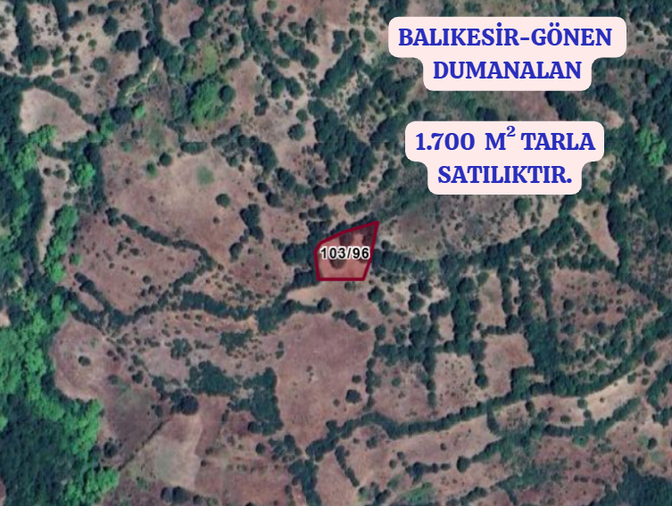 BALIKESİR GÖNEN DUMANALAN  KÖYÜNDE 1.700 M² TARLA SATILIKTIR - BALIKESİR GÖNEN fotoğraf 2