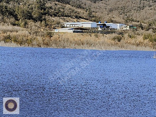 KESTEL GÖLCÜK MH SATILIK GÖL KENARI ÇİFTLİK - BURSA KESTEL fotoğraf 8