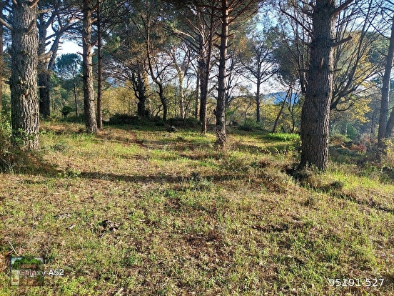 BERGAMA KOZAK YAYLASI YUKARIBEY MAH DE 2700 M2 FISTIKLIK - İZMİR BERGAMA fotoğraf 3