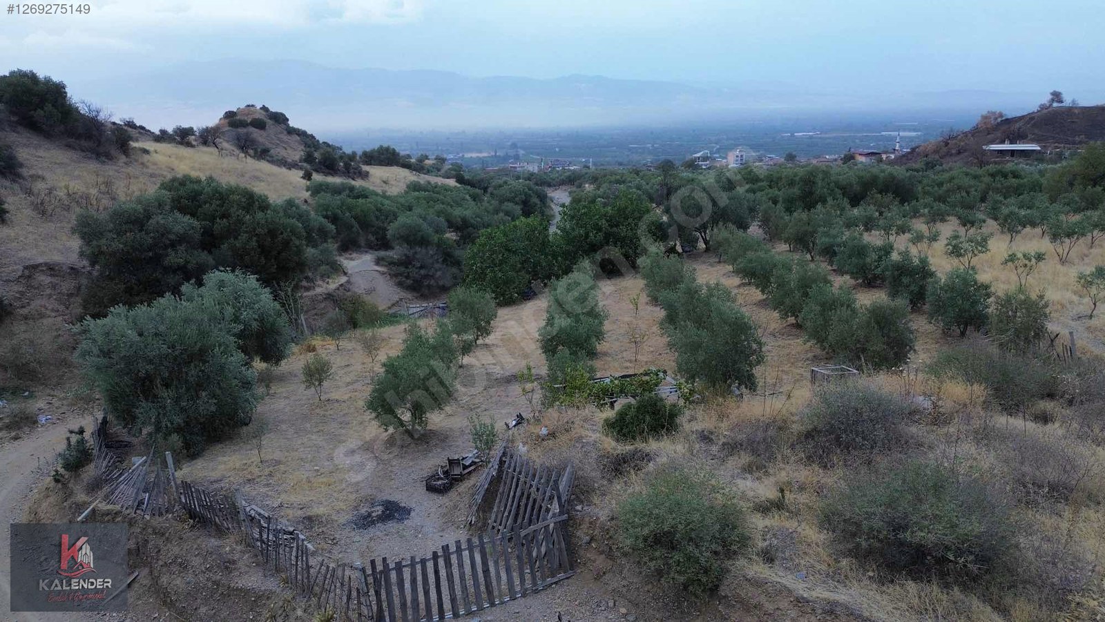 KALENDER EMLAKTAN DERBENTTE SATILIK 1.150 M2 TEK TAPU ZEYTİNLİK - MANİSA TURGUTLU fotoğraf 4