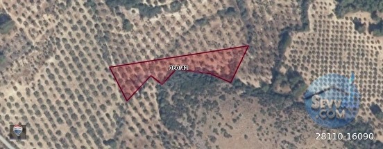 ŞEHIR MERKEZINE YAKIN 4112 M² SATILIK TARLA - AYDIN KUŞADASI fotoğraf 14