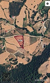 Muğla Seydikemer Yaka’da Tek Tapulu 3.364 m² Yola Cepheli Tarla - MUĞLA SEYDİKEMER fotoğraf 3
