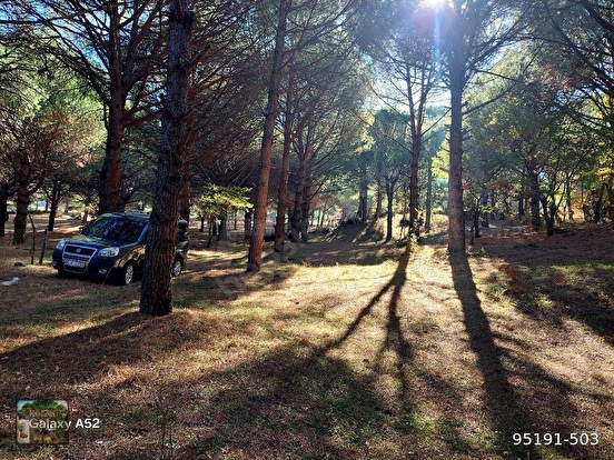 KOZAK YAYLASINDA KARAVELİLER MAH DE 6850 M2 EV İMARLI FISTIKLIK - İZMİR BERGAMA fotoğraf 4