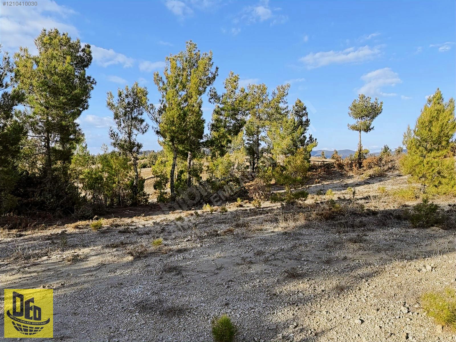 ÇAMELİ GÜZELYURT 4 CEPHE MANZARALI 4.773m2 KUPON TARLA - DENİZLİ ÇAMELİ fotoğraf 9