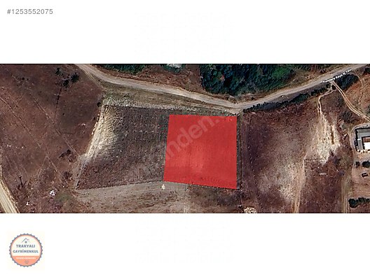 TEKİRDAĞ SARAY KURTDERE 3.550 M2 KÖY İÇİ SATILIK KUPON ARAZİ - TEKİRDAĞ SARAY fotoğraf 6