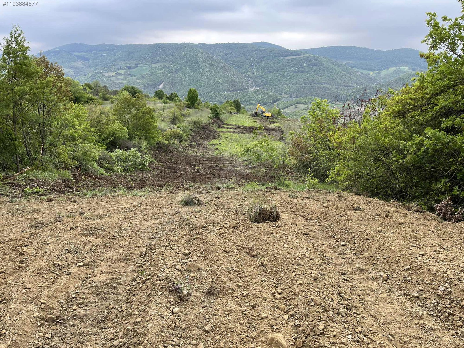 YALOVA ALTINOVA GEYİKDERE KÖYÜ’NDE 13.708 M²  TARLA SATILIKTIR - YALOVA ALTINOVA fotoğraf 9