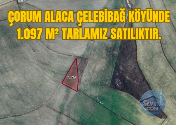 ÇORUM ALACA ÇELEBİBAĞ KÖYÜNDE 1.097 M² TARLAMIZ SATILIKTIR. - Çorum Alaca fotoğraf 22