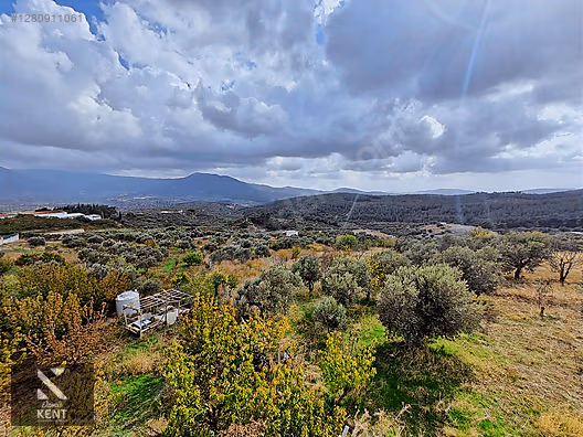 Kemalpaşa Vişneli Satılık 2920 m2 Dubleks Konut Ve Arsa - İZMİR KEMALPAŞA fotoğraf 39