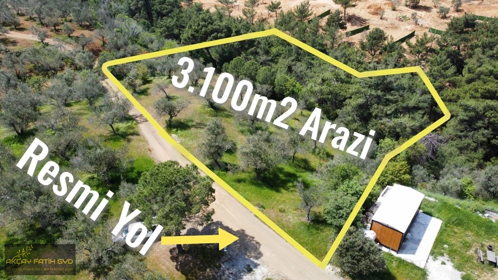 Hacıarslanlar da 3.100m2 SATILIK Kaçmaz Fırsat Zeytinlik - BALIKESİR EDREMİT fotoğraf 5