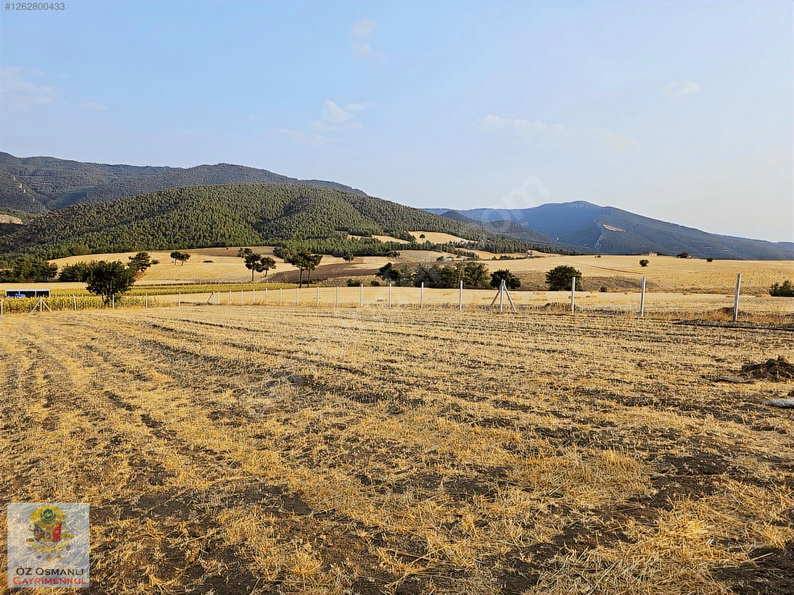 GEYVE'DE 2,300 M2 ARAZİ ÜZERİNDE EKSİKSİZ KONTEYNIR EV VE BAHÇE - SAKARYA GEYVE fotoğraf 15