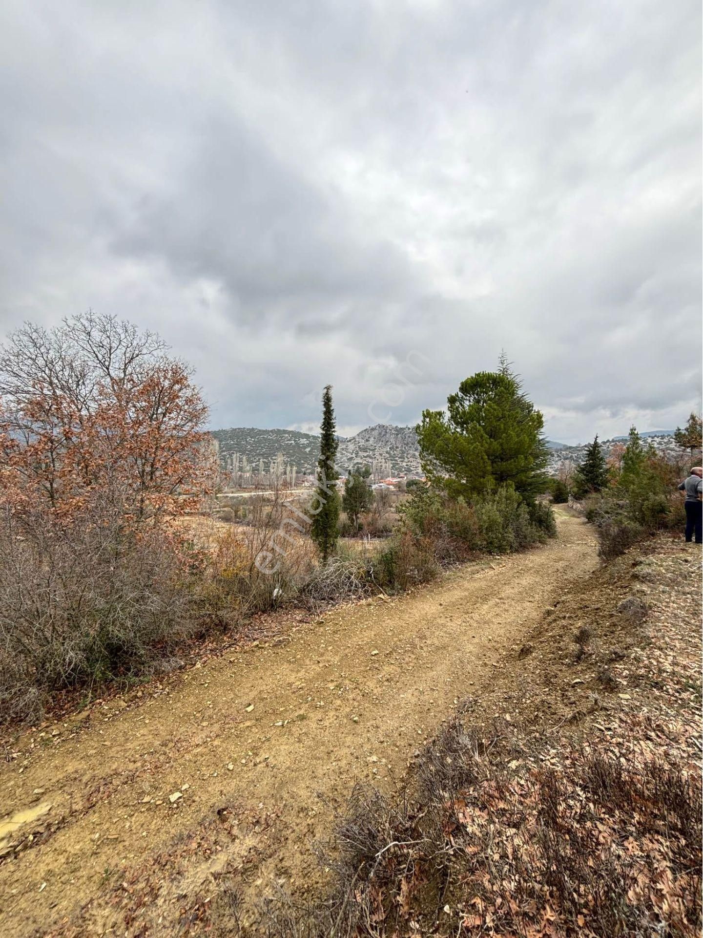 İmara Köy Yerleşimine Yakın Elektrik Yol Su Problemi Olmayan Satılık Tarla  - BURDUR AĞLASUN fotoğraf 3