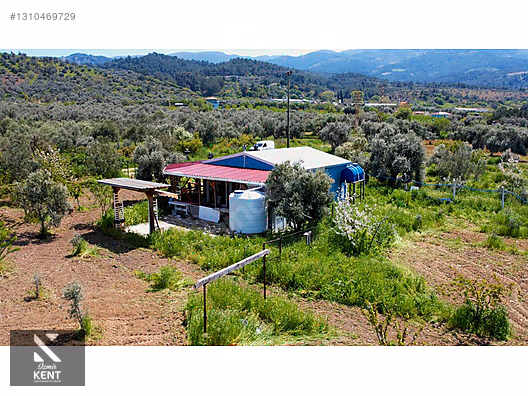 Kemalpaşa Halilbeylide Satılık 3000 m2 Bahçe 40 m2 Ev - İZMİR KEMALPAŞA fotoğraf 34
