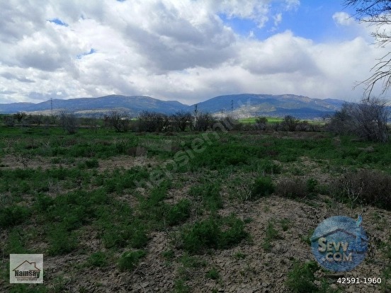 Çevreyoluna Çok Yakın 5 Dönüm Bahçe, 2 tarafı da yol - ANTALYA KORKUTELİ fotoğraf 42
