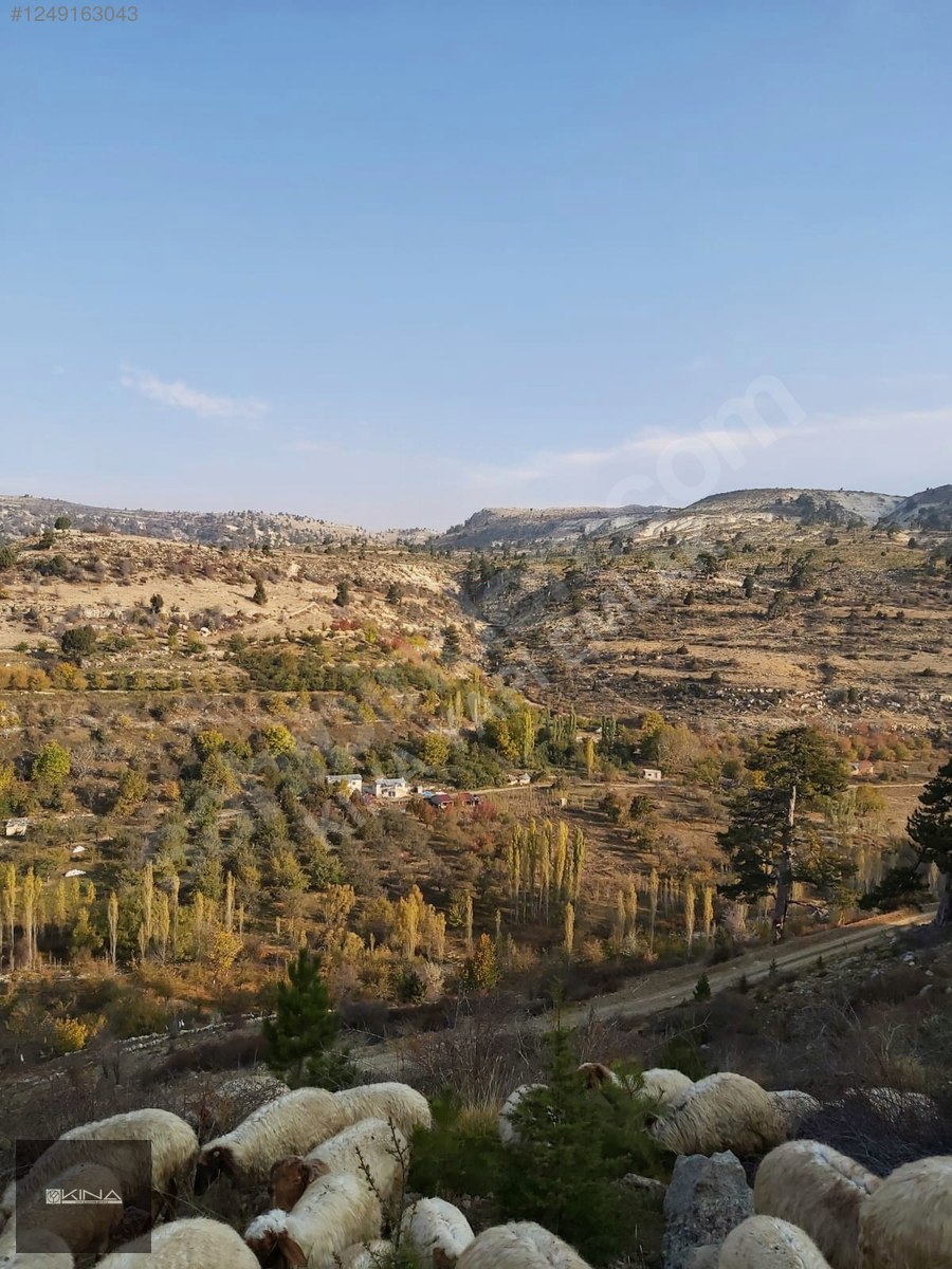SÖĞÜTÖZÜ YAYLASINDA SATILIK EV VE ARSASI - MERSİN MUT fotoğraf 11