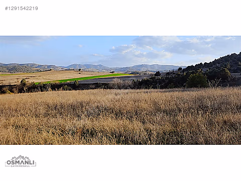 7.480 M2, RESMİ YOLA CEPHELİ, MANZARALI, %5 İMARLI SATILIK ARAZİ - BİLECİK SÖĞÜT fotoğraf 6