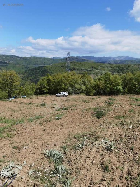 BURSA İZNİK TACİR KÖYÜNDE 13.056 M TARLA SATILIKTIR - BURSA İZNİK fotoğraf 4