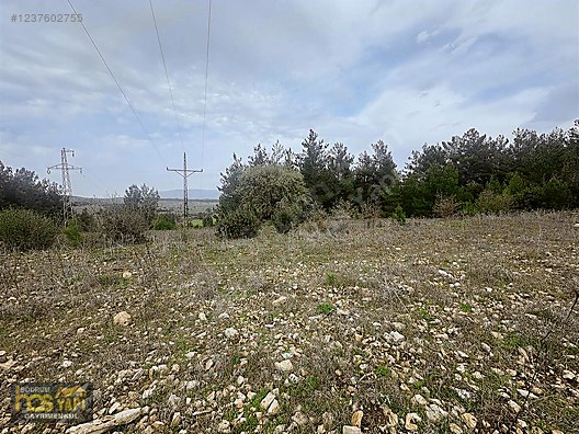 Bodrum Has Yapı Gayrimenkul den satılık - MUĞLA MİLAS fotoğraf 2