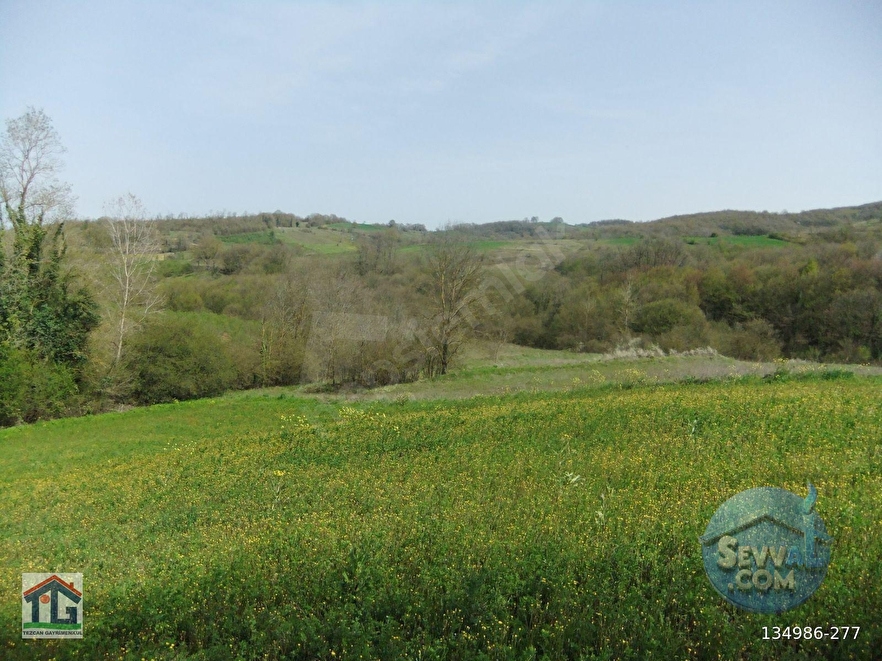 KOCAELİ/KANDIRA/AHMETHACILAR KÖYÜNDE SATILIK 2 PARSEL TARLA. - KOCAELİ KANDIRA fotoğraf 16