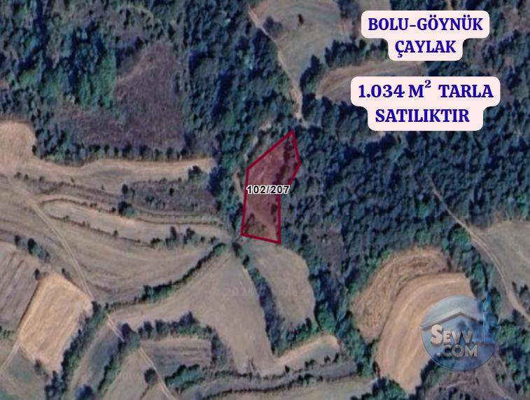 BOLU GÖYNÜK ÇAYLAK  KÖYÜNDE  1.034 M²  TARLA  SATILIKTIR - BOLU GÖYNÜK fotoğraf 2