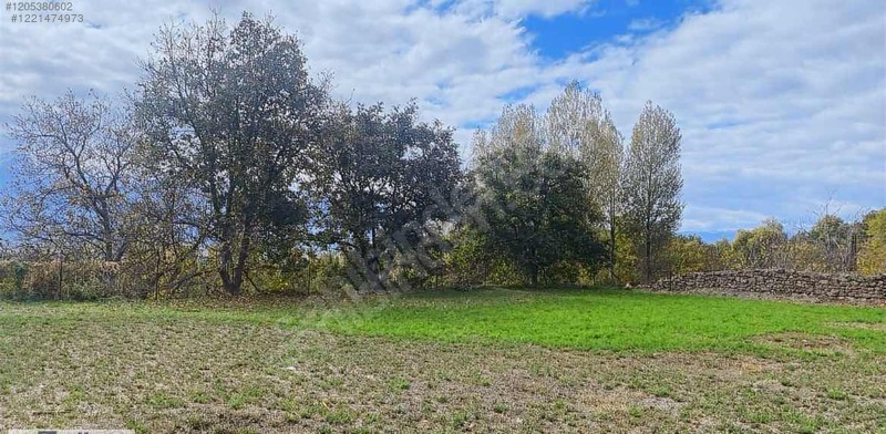 ERZİNCAN  ÜZÜMLÜ ORUÇLU KÖYÜNDE 2.068 M² BAĞ SATILIKTIR. - ERZİNCAN ÜZÜMLÜ fotoğraf 6