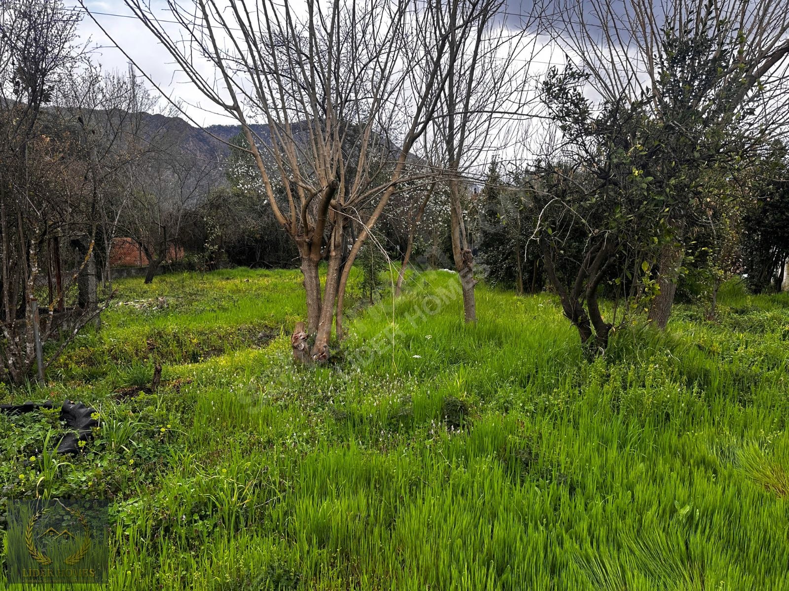 Muğla Köyceğiz Toparlarda Yapı Kayıt Belgeli Ev ve ARAZİ 1.364M - MUĞLA KÖYCEĞİZ fotoğraf 5