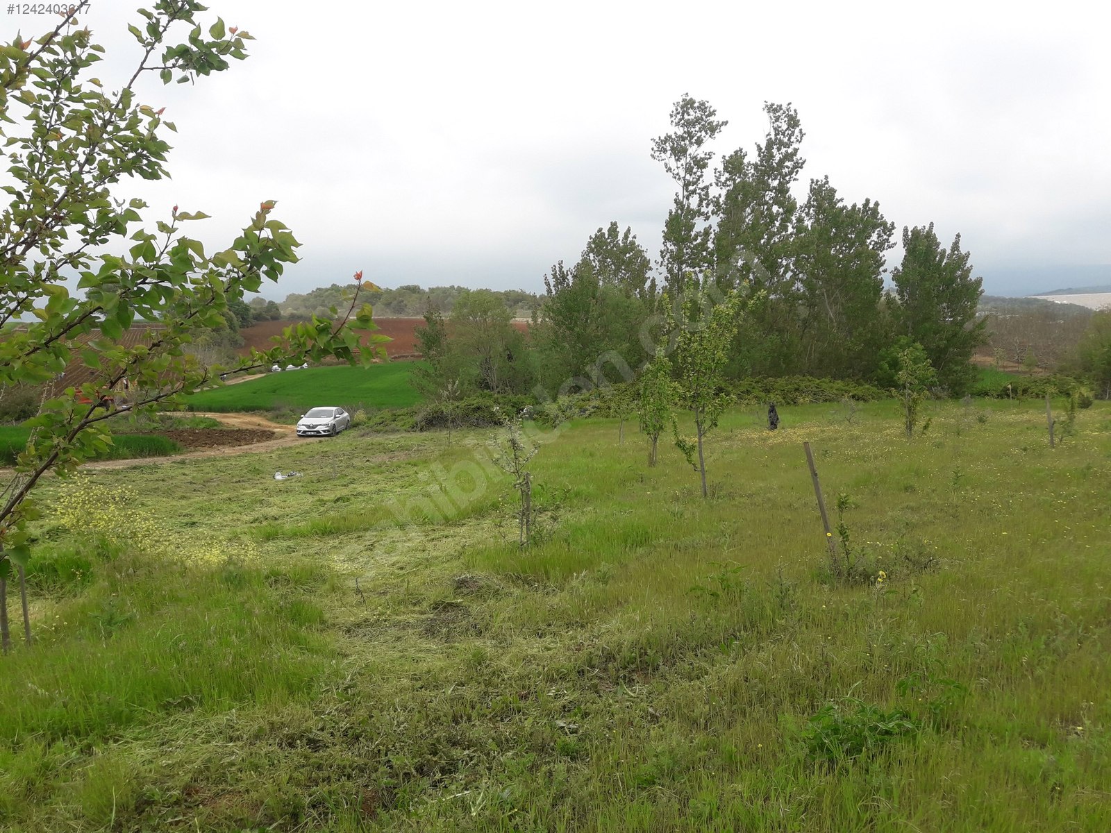 BURSA KARACABEY YEŞİLDERE KÖYÜNDE 2.950 M² TARLA SATILIKTIR - BURSA KARACABEY fotoğraf 16